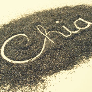 Chia-Seed-Diet patricia chalbaud